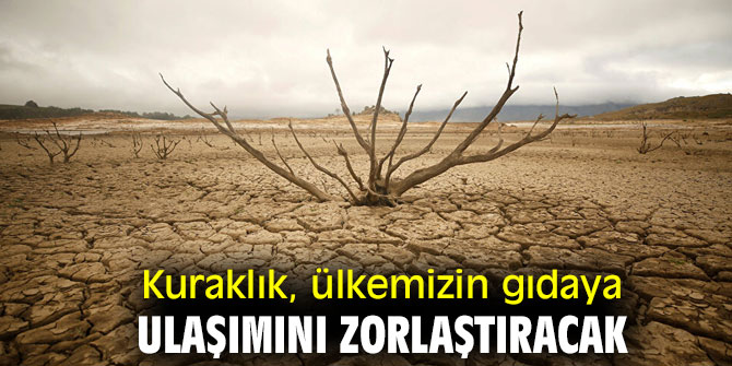 Kuraklık, ülkemizin gıdaya ulaşımını zorlaştıracak