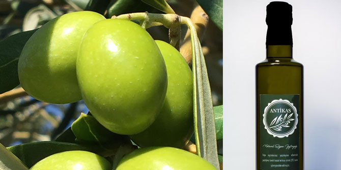 Antikas Zeytinyağı’nın kalitesi tescillendi