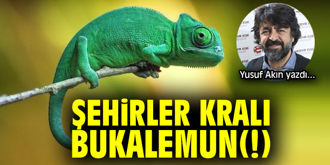 ŞEHİRLER KRALI BUKALEMUN(!)