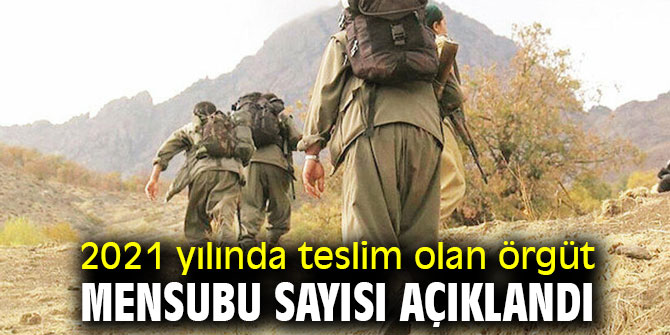 2021 yılında teslim olan örgüt mensubu sayısı açıklandı