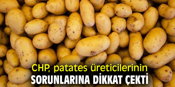 CHP, patates üreticilerinin sorunlarına dikkat çekti