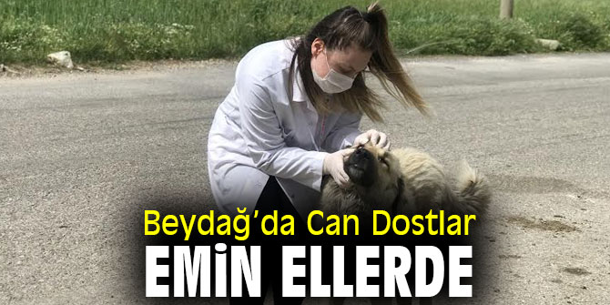Beydağ’da Can Dostlar Emin Ellerde