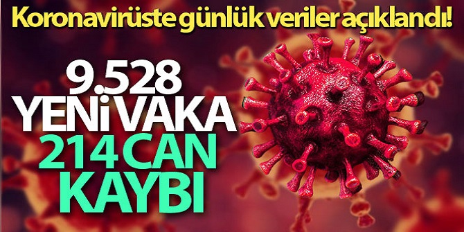 214 kişi hayatını kaybetti