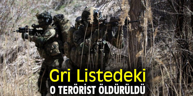 Gri Listedeki o terörist öldürüldü