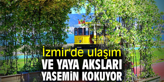 İzmir'de ulaşım ve yaya aksları yasemin kokuyor