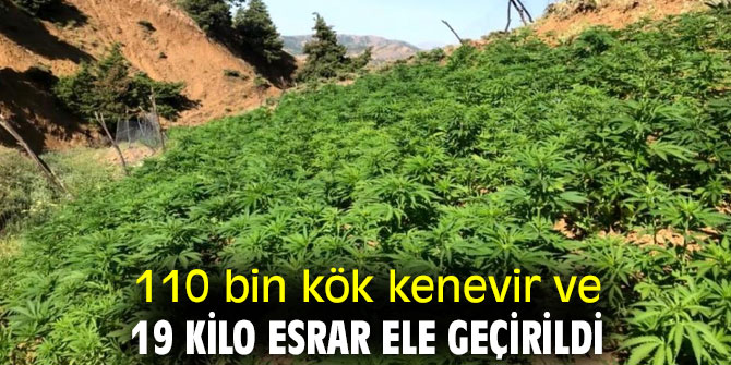 110 bin kök kenevir ve 19 kilo esrar ele geçirildi