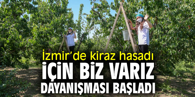 İzmir’de kiraz hasadı için Biz Varız dayanışması başladı