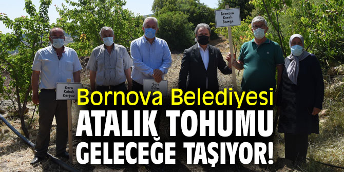 Bornova Belediyesi atalık tohumu geleceğe taşıyor!