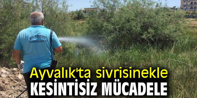 Ayvalık'ta sivrisinekle kesintisiz mücadele 