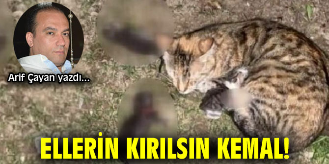 ELLERİN KIRILSIN KEMAL!
