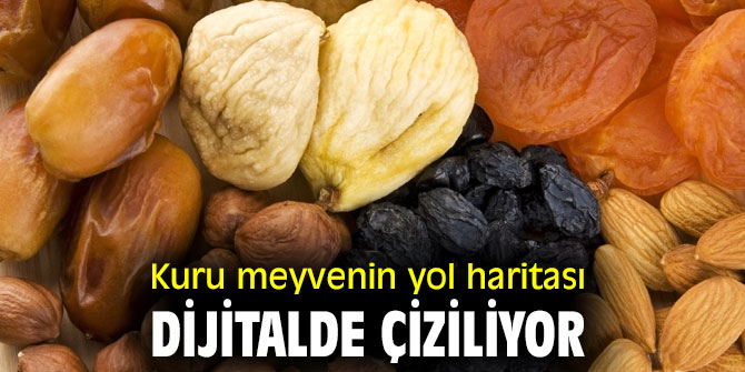 Kuru meyvenin yol haritası dijitalde çiziliyor