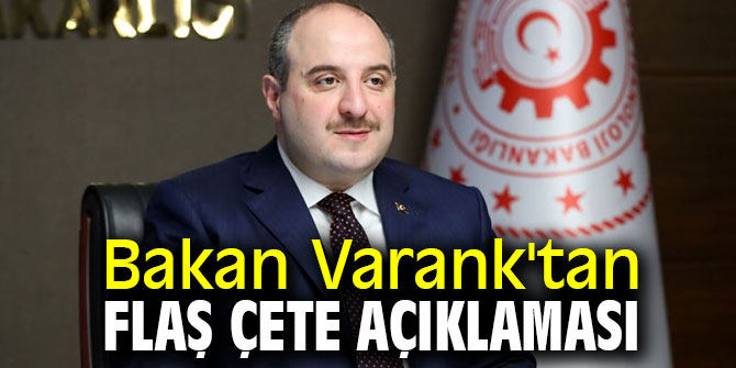 Bakan Varank'tan flaş çete açıklaması