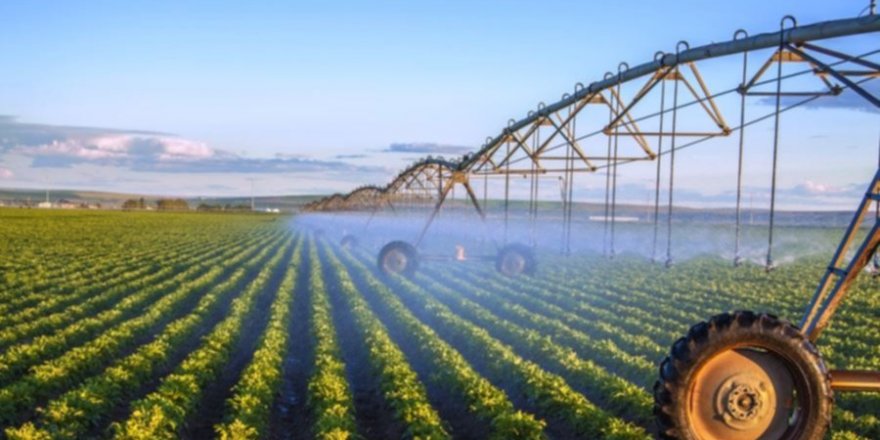 Tavukçuoğlu: Acil tarım politikası oluşturulmalı