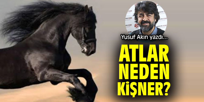 ATLAR NEDEN KİŞNER?