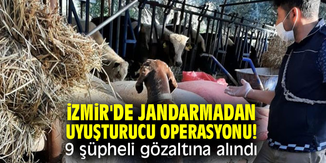 İzmir'de jandarmadan uyuşturucu operasyonu!