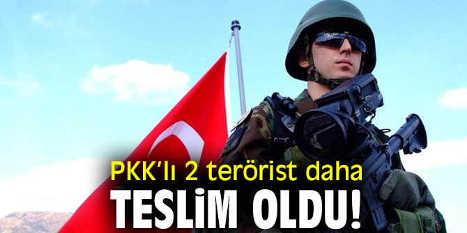 Bakanlık duyurdu! PKK’lı 2 terörist daha teslim oldu!