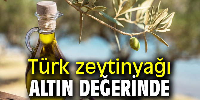 Türk zeytinyağı altın değerinde