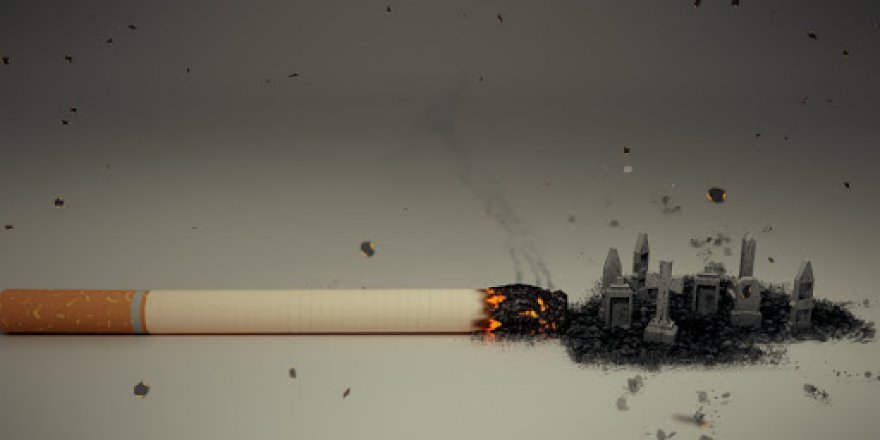 “Sağlıklı yaşama adım atın, sigarayı bırakın”