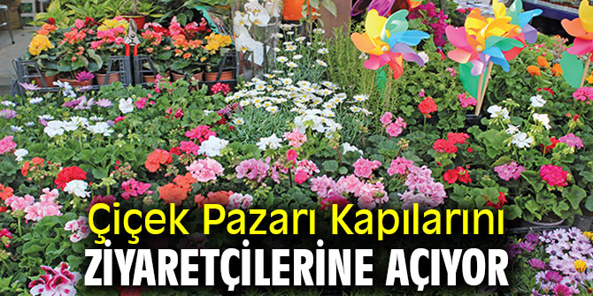 Çiçek Pazarı Kapılarını Ziyaretçilerine Açıyor