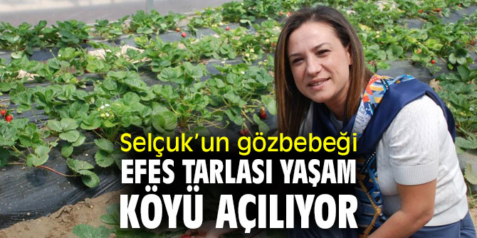 Efes Tarlası Yaşam Köyü’nün açılışını Kılıçdaroğlu yapacak