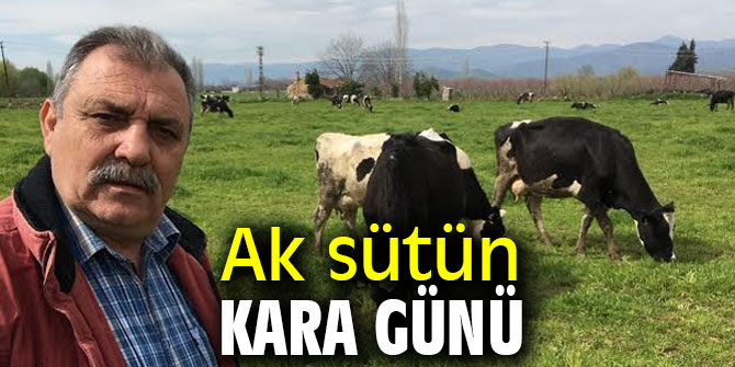 Ak sütün Kara günü