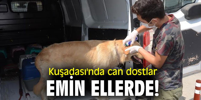 Kuşadası'nda can dostlar emin ellerde!