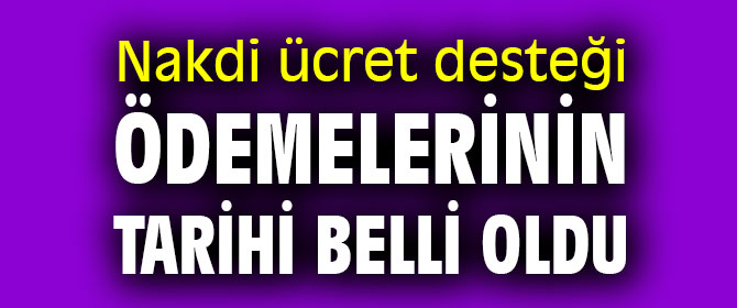 Nakdi ücret desteği ödemelerinin tarihi açıklandı