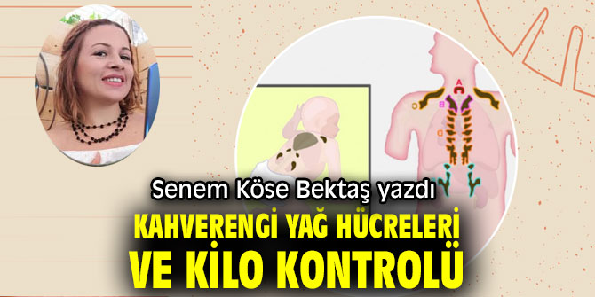 KAHVERENGİ YAĞ HÜCRELERİ VE KİLO KONTROLÜ 