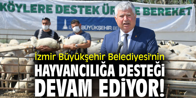 İzmir Büyükşehir Belediyesi'nin hayvancılığa desteği devam ediyor!