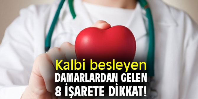 Uzmanı uyardı! Kalbi besleyen damarlardan gelen 8 işarete dikkat!