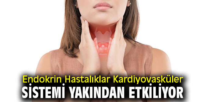 Dikkat! Endokrin Hastalıklar Kardiyovasküler Sistemi Yakından Etkiliyor