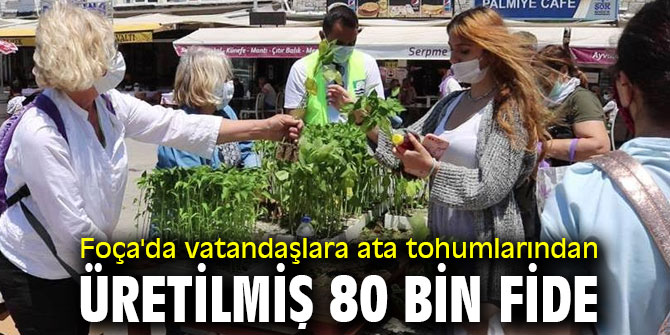 Foça'da vatandaşlara ata tohumlarından üretilmiş 80 bin fide