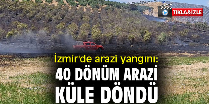 İzmir'de arazi yangını: 40 dönüm arazi küle döndü