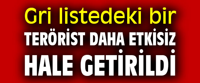 Gri listedeki terörist etkisiz hale getirildi