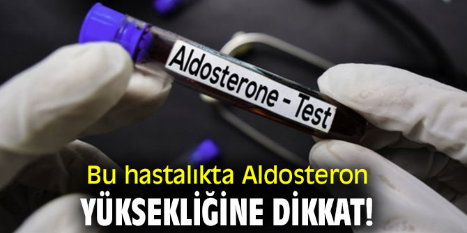 Bu hastalıkta Aldosteron yüksekliğine dikkat!