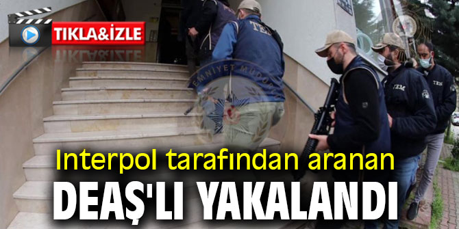 Interpol tarafından aranan DEAŞ'lı yakalandı