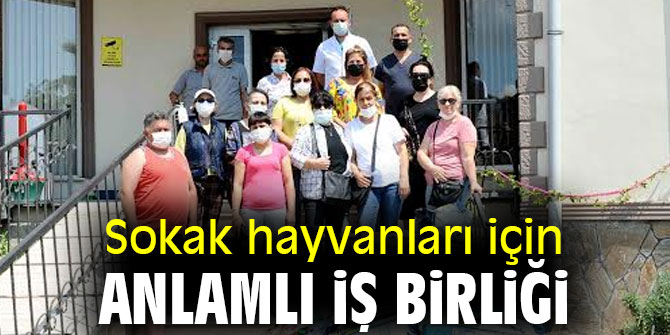 Sokak hayvanları için anlamlı iş birliği