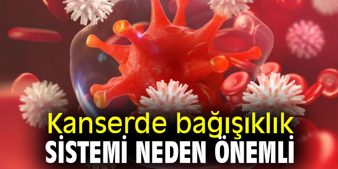 Kanserde bağışıklık sistemi neden önemli