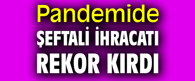 Pandemide şeftali ihracatı rekor kırdı