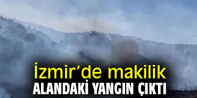 İzmir’de makilik alandaki yangın çıktı