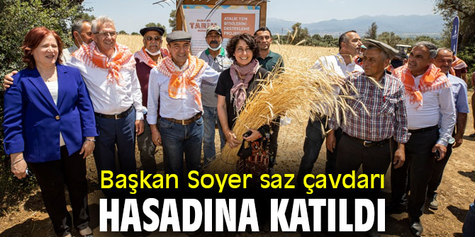 Başkan Soyer saz çavdarı hasadına katıldı