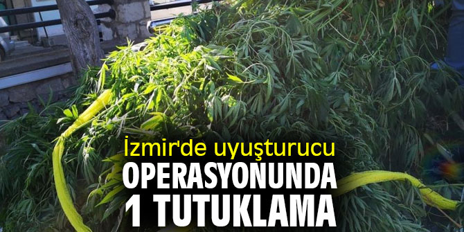 İzmir'de uyuşturucu operasyonunda 1 tutuklama