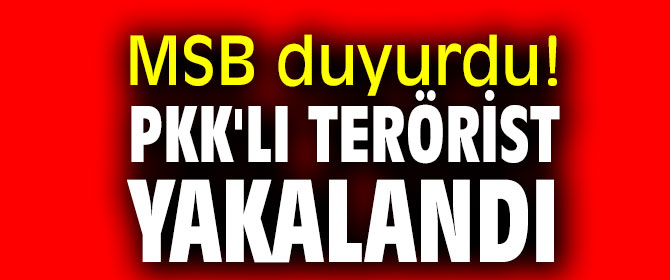 Bakanlık açıkladı! PKK'lı terörist yakalandı