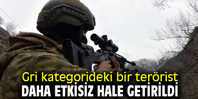 Gri kategorideki terörist etkisiz hale getirildi