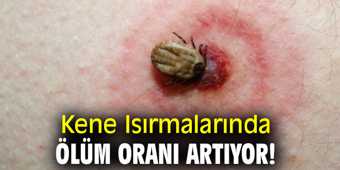 Kene Isırmalarında Ölüm Oranı Artıyor!
