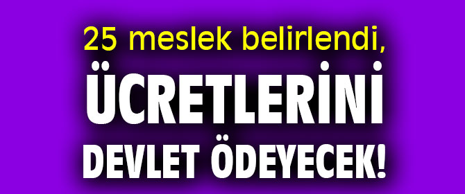 25 meslek belirlendi, ücretlerini devlet ödeyecek!