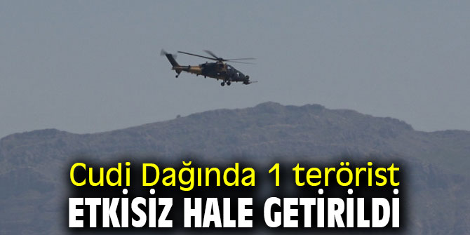 Cudi Dağında 1 terörist etkisiz hale getirildi
