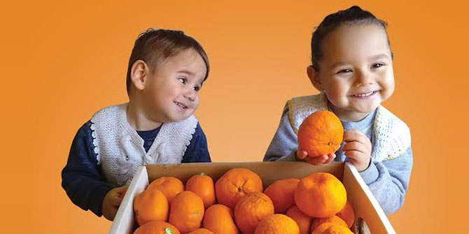 Gıda Güvenliği Önemli