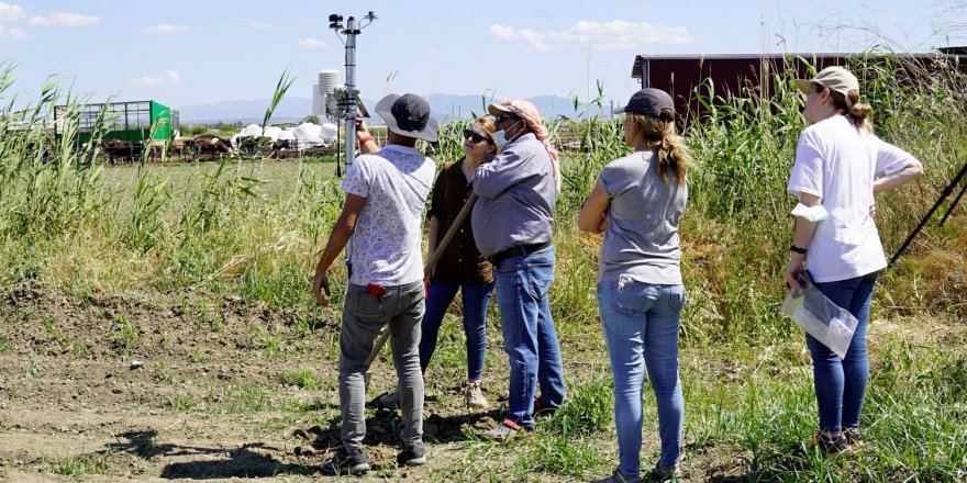 Sürdürülebilir ihracat için İyi Pamuk şart