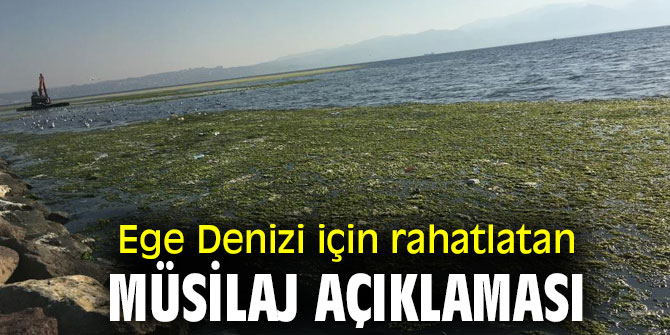 Uzmanından Ege Denizi için rahatlatan müsilaj açıklaması